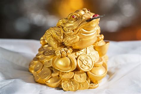 咬錢金蟾蜍|神獸供養方法：三腳金蟾篇(咬錢)